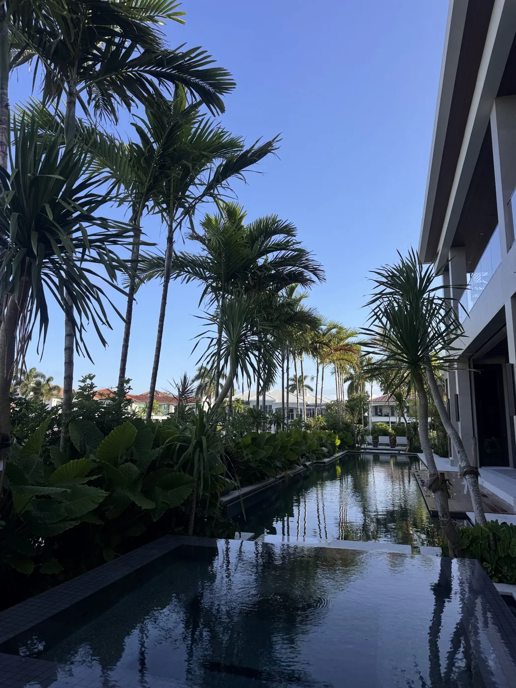 Royal palms lining a waterfront property designed and installed by Calderon Elder Landscaping