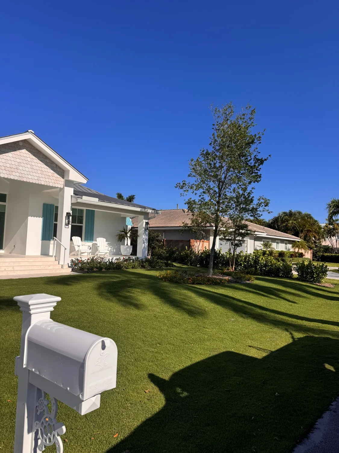 Manicured front lawn and specimen tree at a South Florida home