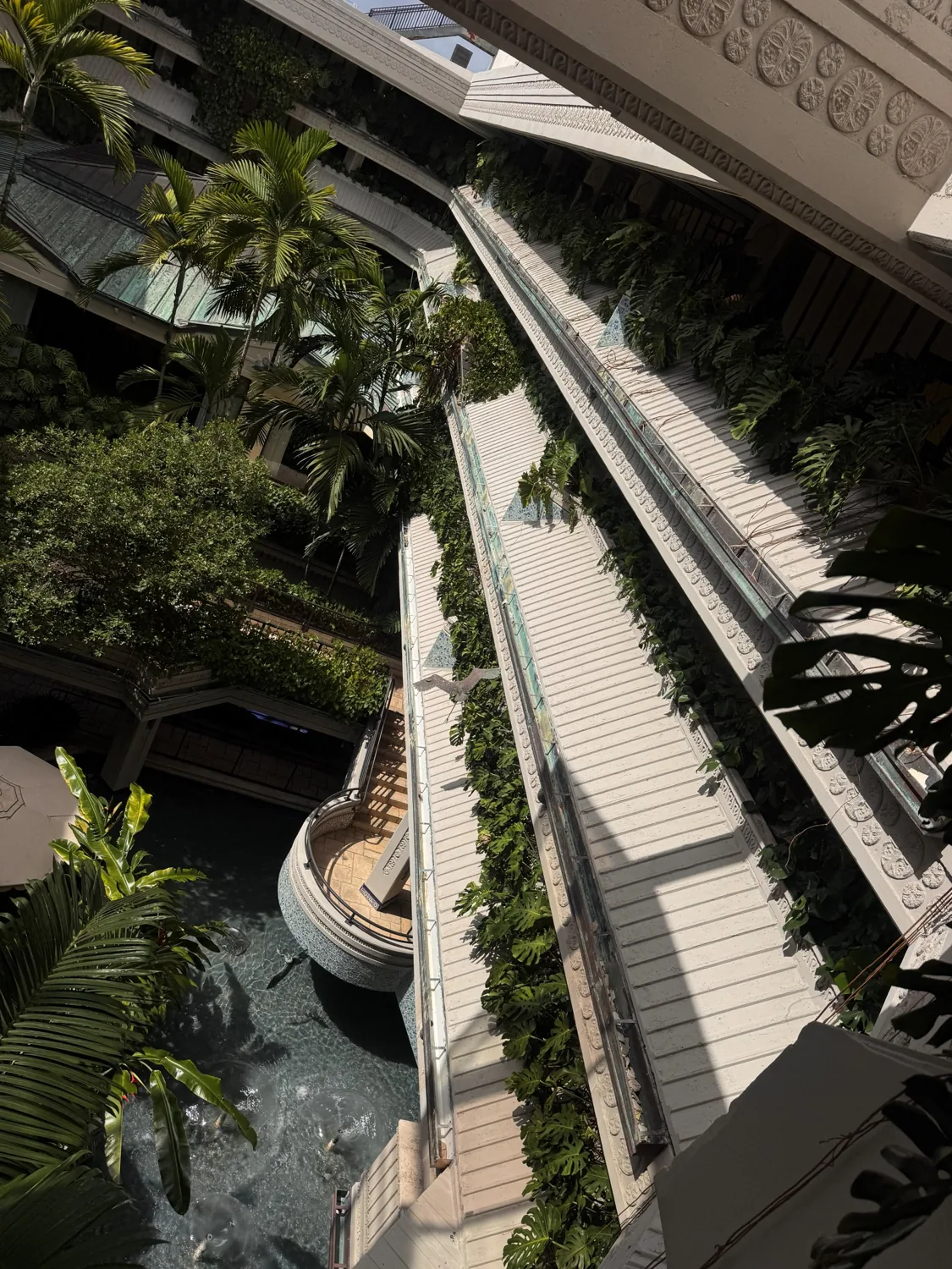 Lush mature tree canopy over a landscaped South Florida property